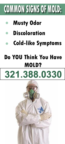 Palm Bay Mold Remediation Contractor